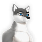 Galileo - Terris the Wolf